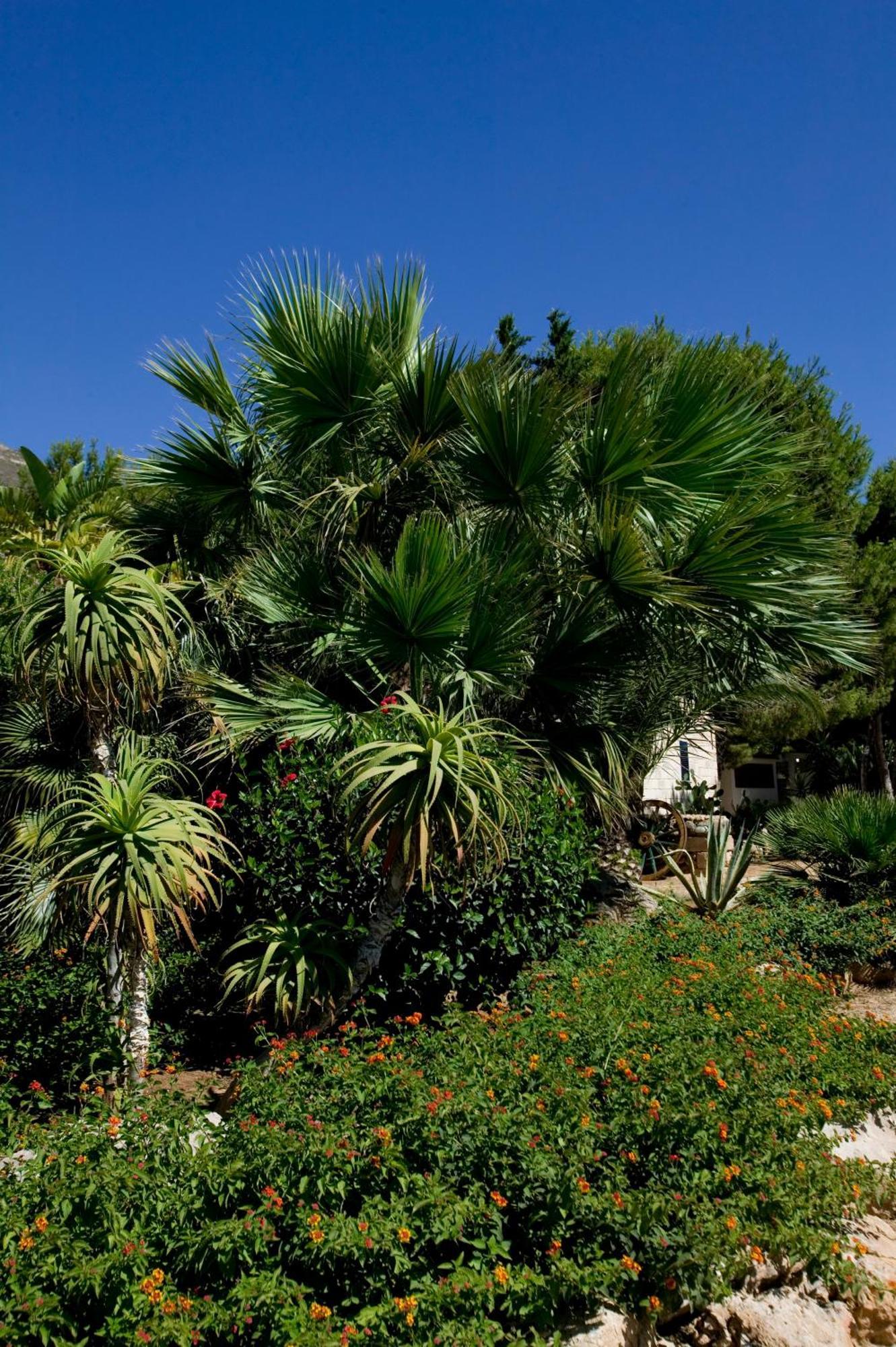 Miramare Residence Favignana Exteriör bild